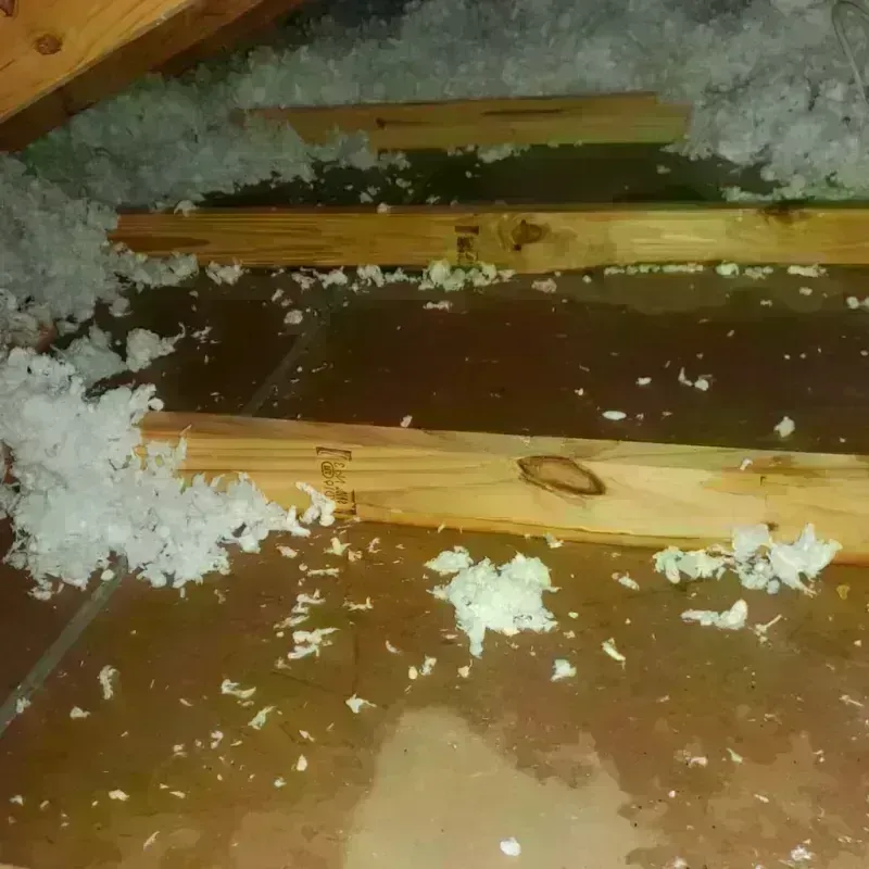 Attic Water Damage in Princeton, NJ